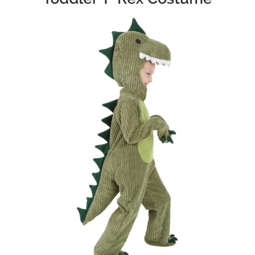 Dinosaur costume toddler